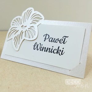 Winietki Laserowe